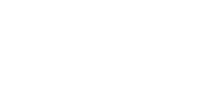 Vg